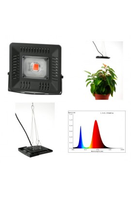 Светильник FITO прожектор для растений Эра FITO-50W-LED BLUERED 50 75 IP65, 1370 K