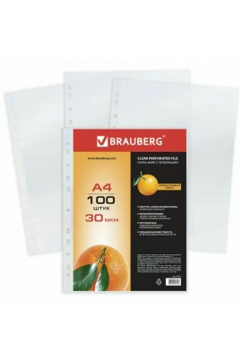 Папка - файлы BRAUBERG 221991 Формат: А4, комплект 100 шт, матовые, 0, 030 мм, 